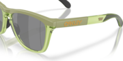 Frogskins™ Range XL - Matte Fern/Transparent Fern