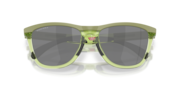 Frogskins™ Range XL - Matte Fern/Transparent Fern