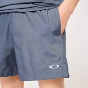 Allmighty Shorts 5.0Inch 2.0 - Gray Dust