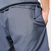 Allmighty Shorts 5.0Inch 2.0 - Gray Dust