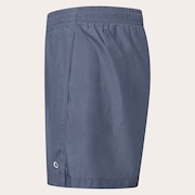 Allmighty Shorts 5.0Inch 2.0 - Gray Dust