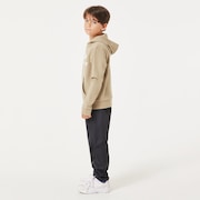 Ytr Dry Tech Cotton Fleece Hoody 10.0 - Pebble