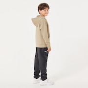 Ytr Dry Tech Cotton Fleece Hoody 10.0 - Pebble