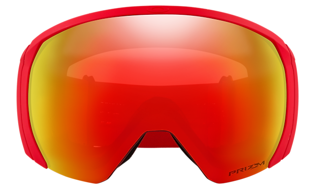 Flight Path L Snow Goggles