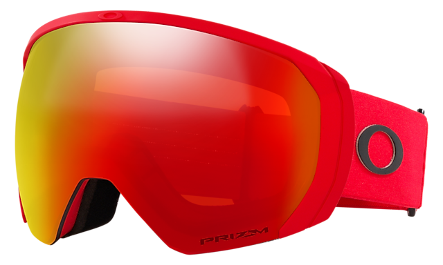 Flight Path L Snow Goggles