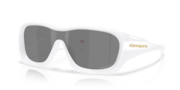 prizm black