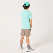 Ytr Ny Shorts 11.0 - Bark