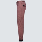 Skull Versatile Tpd Jogger 4.0 - Coral Marle