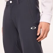 Skull Synchronism Defend 3D Pants - Graphite