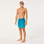 Gradient 16'' Beachshort - Purple Gradient