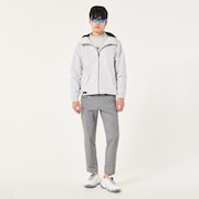 Lunar Rock