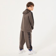 Ytr Qd Fleece Hazard Hoody 10.0 - Plum