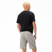 Bermuda De Água Kana 21 2.0 Boardshorts - Stone Gray