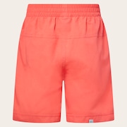 Ytr Ny Shorts 11.0 - Paloma