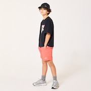Ytr Ny Shorts 11.0 - Paloma