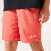 Ytr Ny Shorts 11.0 - Paloma