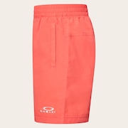 Ytr Ny Shorts 11.0 - Paloma