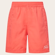 Ytr Ny Shorts 11.0 - Paloma