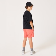 Ytr Ny Shorts 11.0 - Paloma