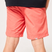 Ytr Ny Shorts 11.0 - Paloma
