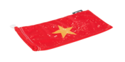 Vietnam Flag