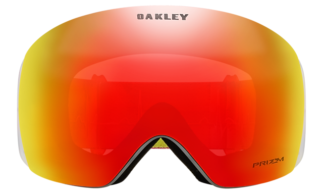 Flight Deck™ L Snow Goggles