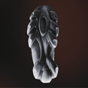 Oakley Factory Team Flesh Warp - Triple Grey