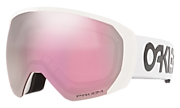 Flight Path L Snow Goggles