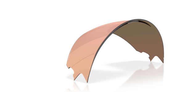 Oakley Meta Vanguard Replacement Lens