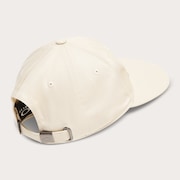 Session Cap - Mist