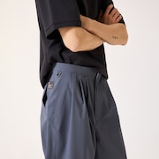 Fgl Pit Ankle Pants 1.0 - Gray Dust