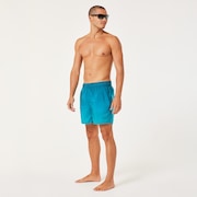 Gradient 16'' Beachshort - Blue Gradient