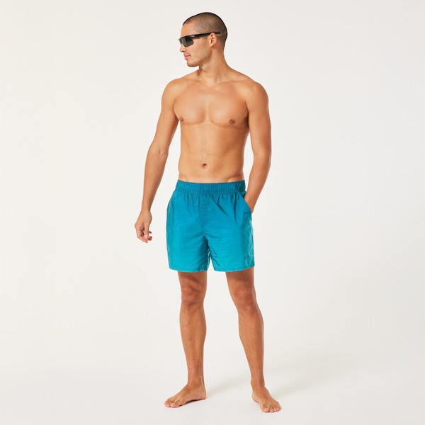 Gradient 16'' Beachshort