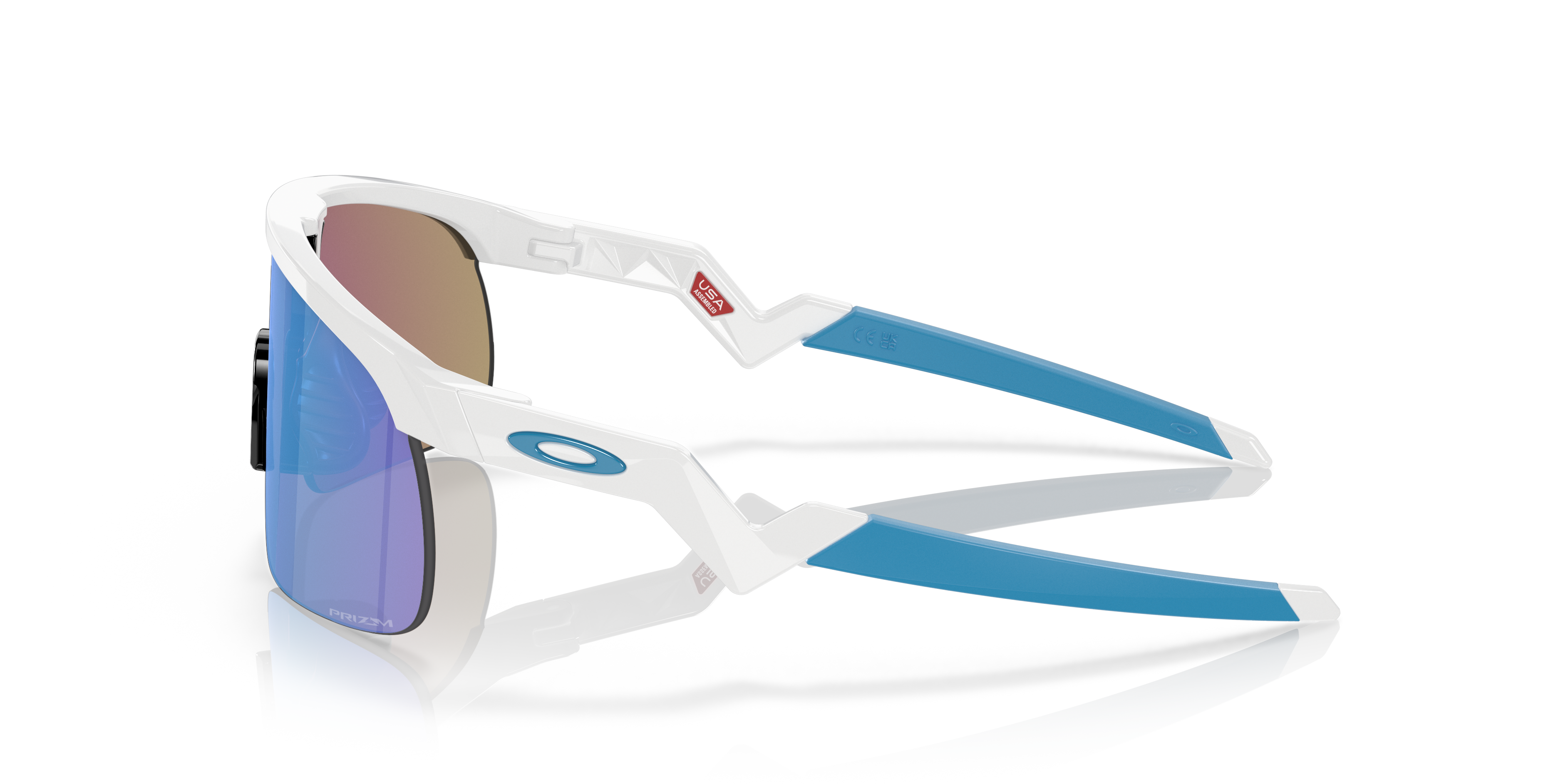 Oakley Resistor (Youth Fit) Sunglasses with Polished Black Frame