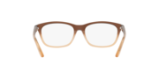 Taunt™ - Rose Gold Fade