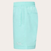 Ytr Ny Shorts 11.0 - Seafoam Green
