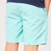 Ytr Ny Shorts 11.0 - Seafoam Green