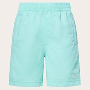 Ytr Ny Shorts 11.0 - Seafoam Green