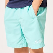 Ytr Ny Shorts 11.0 - Seafoam Green