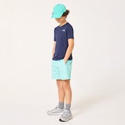 Ytr Ny Shorts 11.0 - Seafoam Green