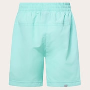 Ytr Ny Shorts 11.0 - Seafoam Green