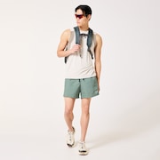 Allmighty Shorts 5.0Inch 2.0 - Aviator Green