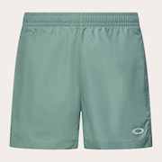Allmighty Shorts 5.0Inch 2.0 - Aviator Green