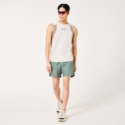 Allmighty Shorts 5.0Inch 2.0