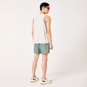 Allmighty Shorts 5.0Inch 2.0 - Aviator Green