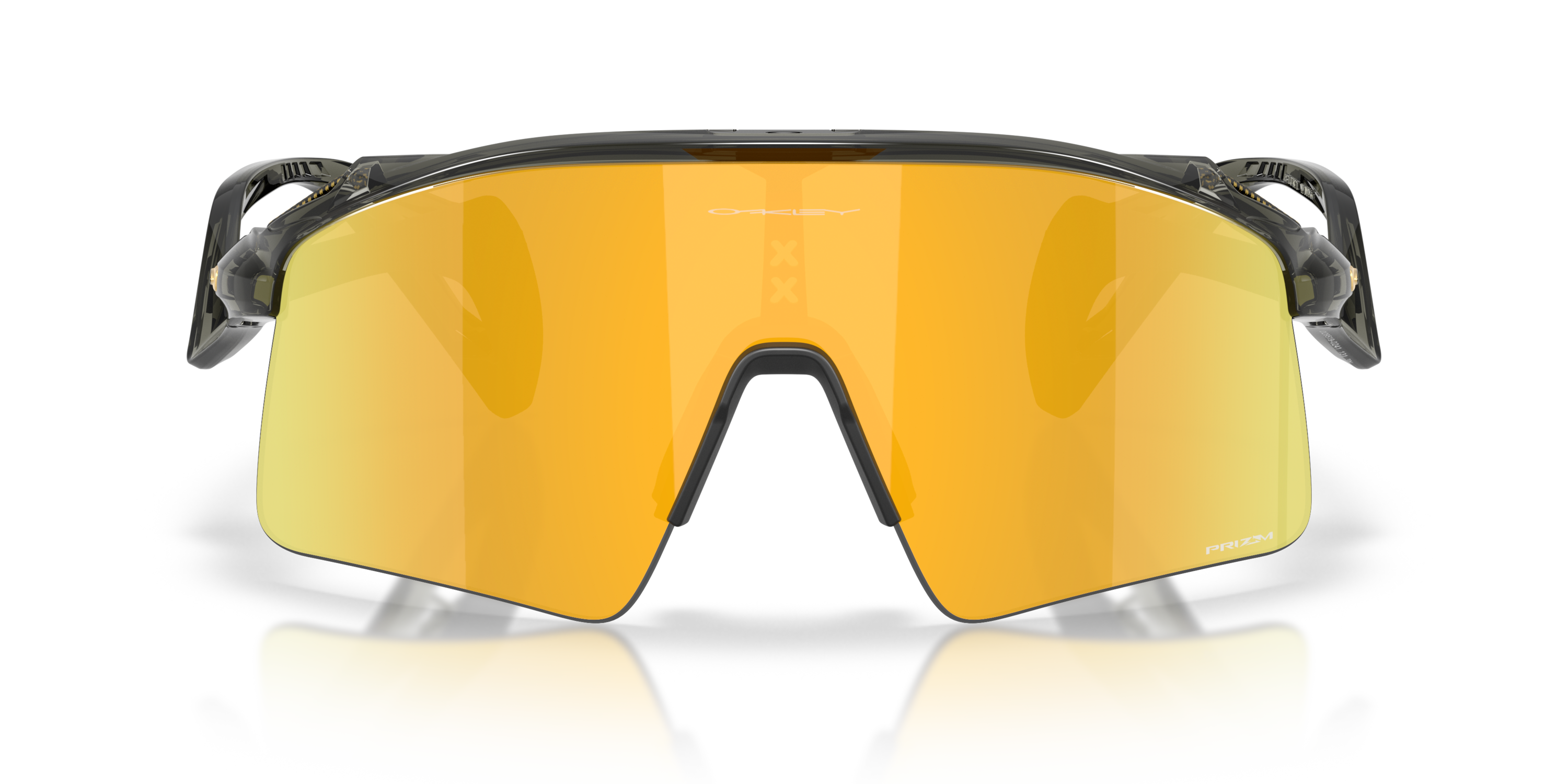 Lunettes Birdz Wing Pour Parachutisme – Fumées, Rembourrage Confort, Champ Large, Modèle WINGSM