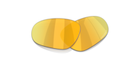 prizm 24k polarized