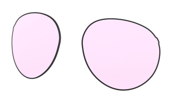 Forager (Low Bridge Fit) Replacement Lenses