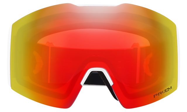 Fall Line L Snow Goggles