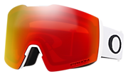 Fall Line L Snow Goggles